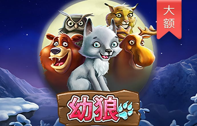 威斯尼斯wns888官网版